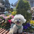 저축만으로 살기에 불안한 미래 | 펫로스를 경험하고 다시 시작하는 이들에게 힘이 되는 책