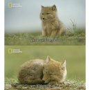 더 위대한 족보 이미지