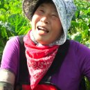 성리농장 이미지