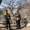 곰달래동물병원 Daum카페