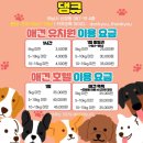 댕큐 애견유치원, 애견호텔 이미지