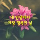 행복예약 / 해밀 조미하 이미지