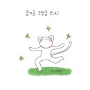 유성 국화축제 이미지