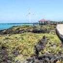 월령리 농어촌체험휴양마을 이미지