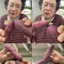 구떼 이미지