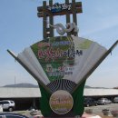 보성 다향체육관 이미지