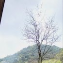 돋을볕펜션 이미지