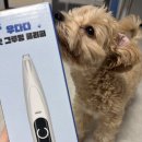 아이그루밍 | 강아지 발바닥 바리깡 추천 우다다 펫그루밍 미니 클리퍼 사용 후기