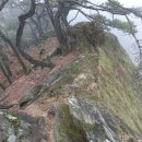 창만5리 이미지