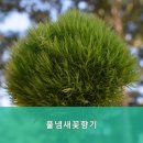 풀냄새꽃향기 이미지