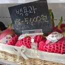 달달프룻