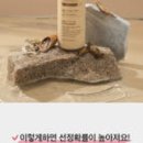 테라피플러스 이미지