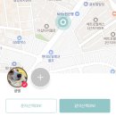 강아지 친구 | 강아지 산책 친구 찾기 앱, 펫썸 사용 후기