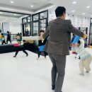 국가대표 드림로드 태권도장 이미지