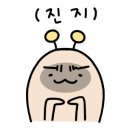 메이플데이