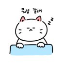 사과네 케이스