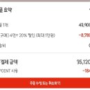 주식회사 로얄할인마트 | 파산핑 품절대란 이클립스핑 다이아나핑 재고 근황 3만원대 득템 후기 (+ 롯데마트 제타)