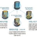 부산카크리닉