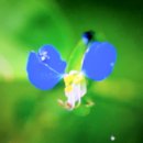 양심돈 - 기장군 해빛6로 43-3 | 양심돈