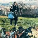 (주)로드컴플릿 | 영국 입국 후 짧은 로드트립 여정_ 브라이튼, Elvetham, 코츠월드 Cirencester, broadway 런던 근교여행 🇬🇧