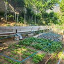 (주)그린아그로 이미지