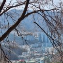 광덕물산