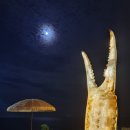 기분좋은날 대게,회,펜션 이미지