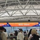 부자농장 인공수정소 | 노랑풍선 패키지 호주여행 1,2일차 (브리즈번/골드코스트)