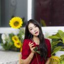 스튜디오보리 Daum카페
