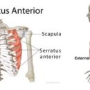 리즈핏 PT 이미지