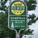 나정주유소 네이버블로그