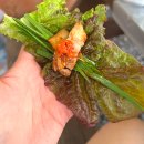 우복동 편백 펜션 이미지