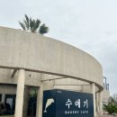 빌레하우스 | 가정의달 5월! 제주도여행 다녀왔어요! #제주독채펜션 #발레하우스