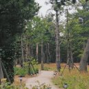 강릉정비(주) 이미지