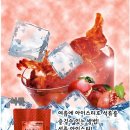 cafegela 카페젤라