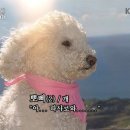 감자골감자탕 이미지