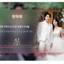 씨엘로뮤직 | [축가 영상] 축가 영상 제작 'Oreum' 내돈내산 후기
