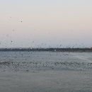 남파랑길 이미지