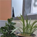 명주 행정사사무소 이미지