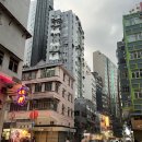 맑은운동화 | 홍콩 몽콕 야시장 레이디스 마켓 운동화 거리 금붕어 시장 홍콩 네온사인 포토스팟