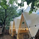 산돼지식당 - 남구 유엔평화로 164-1 | 울산 배내골 계곡 맛집 산돼지마을 후기 🏕️🌿
