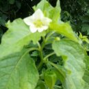 현인목장 이미지