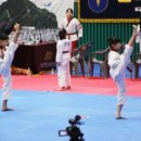 성광 태권도 이미지