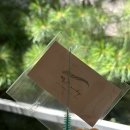 첨단2지구속눈썹 잘하는 곳 새늘뷰티에서 속눈썹 연장한 후기