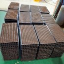 다정이네 이미지