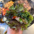 목구멍 - 용인시 수지구 풍덕천로139번길 10-3 | 평택 소사벌 찐맛집 삼겹살 기가막힌 목구멍 솔직후기