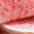퍼스트푸릇 이미지