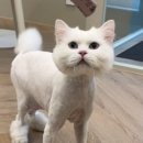 너와나,묘연 이미지