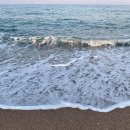 남호해수욕장 이미지