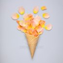 하나학원 이미지